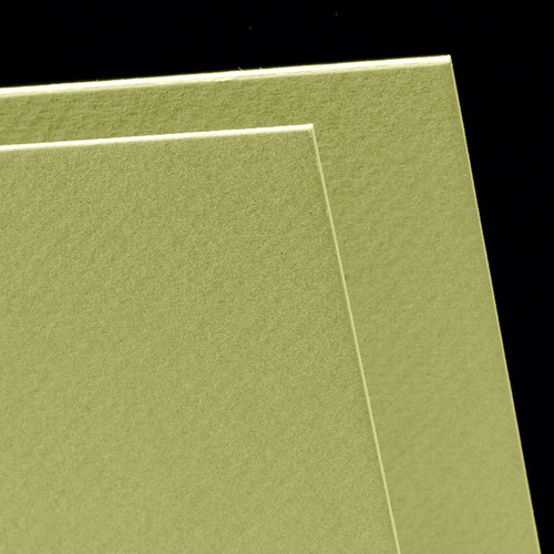Canson Mi-Teintes Board 16"X20" 5/Pkg-Light Green - 5A00366B-1H7C2 - 3148955703465