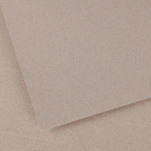 Canson Ingres Drawing Paper Sheets 19"X25"-Moonstone, 25 Sheets - 5A0035X4-1H7DQ - 3148952614221