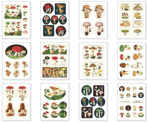 Cavallini Vintage Style Sticker Tin-Mushrooms - 5A0035PC-1H6Z5