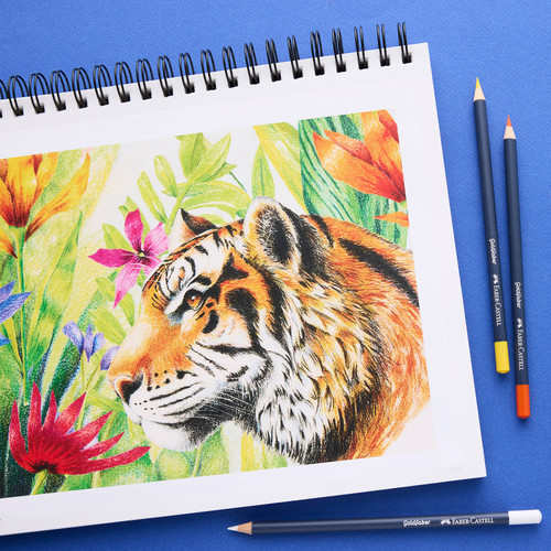 Faber-Castell Goldfaber Color Pencil Box-Set of 12 - 5A0035TT-1H75P Faber-Castell Goldfaber Color Pencil Box-Set of 12 - 5A0035TT-1H75P