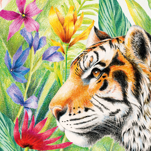 Faber-Castell Goldfaber Color Pencil Box-Set of 12 - 5A0035TT-1H75P Faber-Castell Goldfaber Color Pencil Box-Set of 12 - 5A0035TT-1H75P