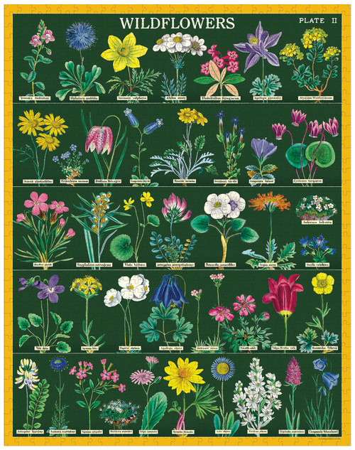 Cavallini Vintage 1,000 Piece Puzzle-Wildflowers 2 - 5A0035PL-1H70H