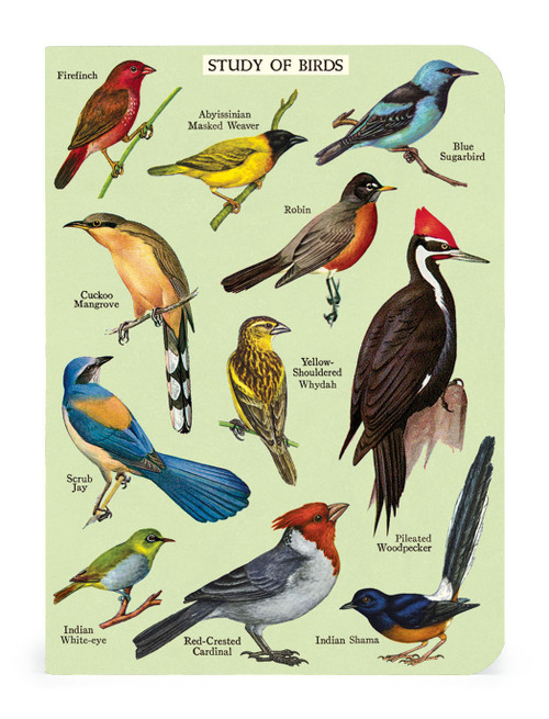 Cavallini Mini Notebooks 3/Pkg-Bird Watching - 5A0035PF-1H6ZG