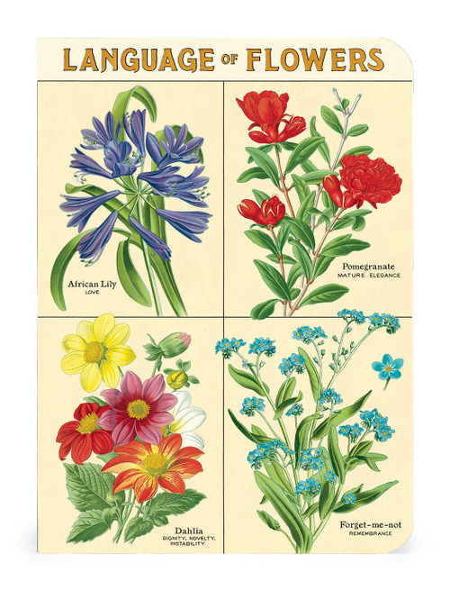 Cavallini Mini Notebooks 3/Pkg-Language of Flowers - 5A0035PF-1H6ZH