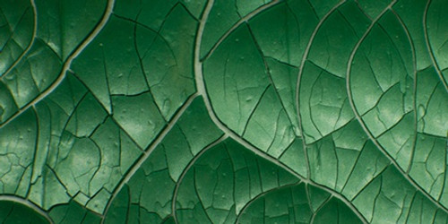 3 Pack - Nuvo Crackle Mousse-Chameleon Green - NCM-1395