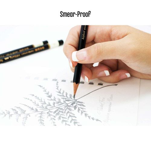 12 Pack - Tombow Mono Drawing Pencil-B - 5A003G24-51508