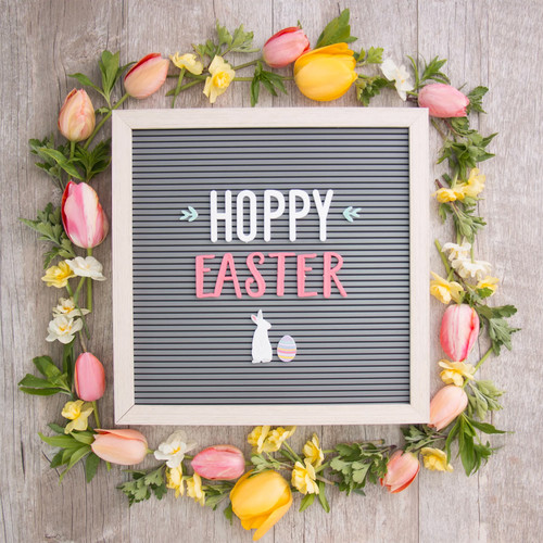 2 Pack - DCWV Letterboard Letters & Characters 2" 148/Pkg-White - LP006000-16