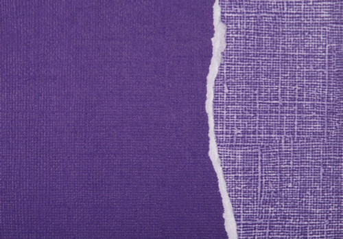 20 Pack - Core'dinations Sandable Cardstock 12"X12"-Purple Magesty - 378236 - 718813782364
