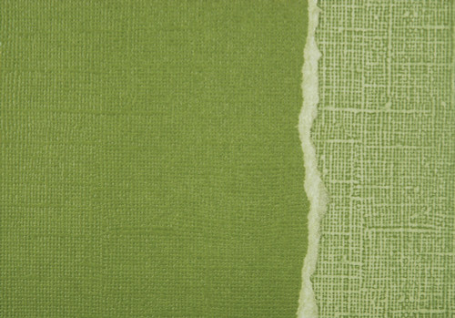 20 Pack - Core'dinations Sandable Cardstock 12"X12"-Fern - 378212 - 718813782128