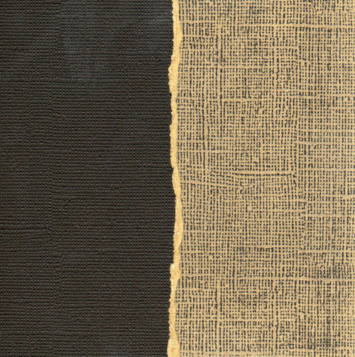 20 Pack - Core'dinations Sandable Cardstock 12"X12"-Hermit - 377963 - 718813779630