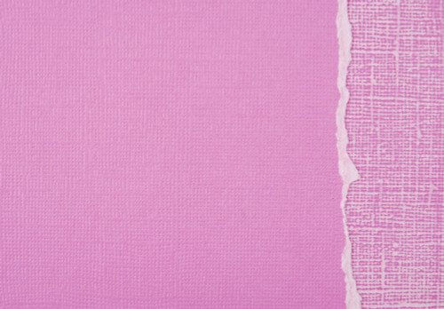 20 Pack - Core'dinations Sandable Cardstock 12"X12"-Fuchsia Fizz - 378246 - 718813782463