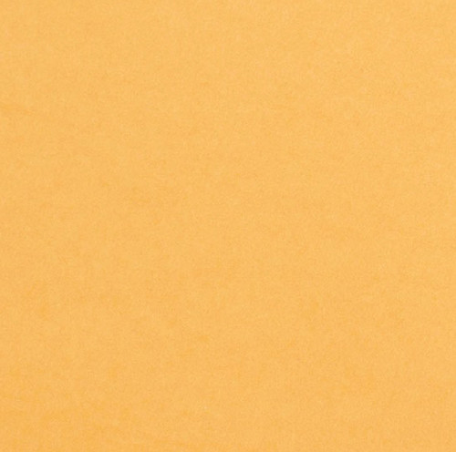 25 Pack - Core'dinations Core Foundations Cardstock 12"X12"-Tiger - 378062 - 718813780629