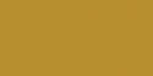 25 Pack - Bazzill Card Shoppe Heavyweight Cardstock 8.5"X11"-Gold Coins - CS8-4204 - 846523042048