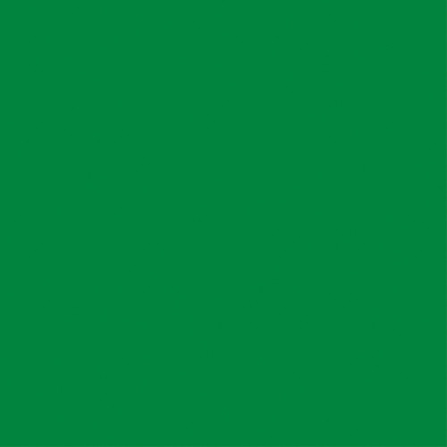 25 Pack - Core'dinations Core Foundations Cardstock 12"X12"-Jolly Green - 378072