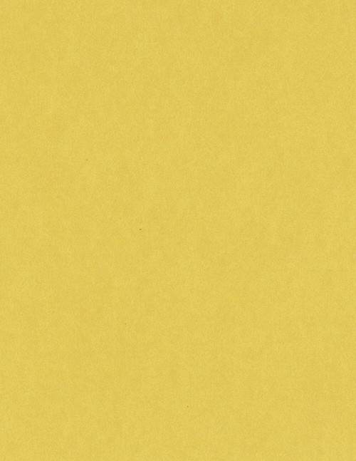 25 Pack - Bazzill Card Shoppe Heavyweight Cardstock 8.5"X11"-Banana Split - CS8-4203 - 846523042031