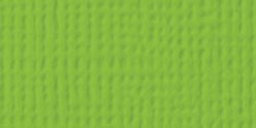 25 Pack - American Crafts Textured Cardstock 12"X12"-Cricket - AM710-60 - 718813710602