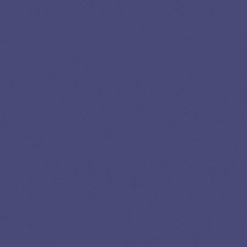 3 Pack - Jacquard Neopaque Acrylic Paint 2.25oz-Violet - NEOPAQUE-586