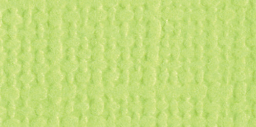 25 Pack - Bazzill Mono Cardstock 12"X12"-Limeade/Canvas - MONO12-9014 - 870709003493