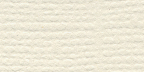 25 Pack - Bazzill Fourz Cardstock 8.5"X11"-French Vanilla/Grasscloth - FOURZ8-1022 - 846523010221