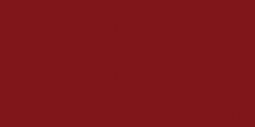 25 Pack - Bazzill Card Shoppe Heavyweight Cardstock 8.5"X11"-Peppermint - CS8-4201 - 846523042017