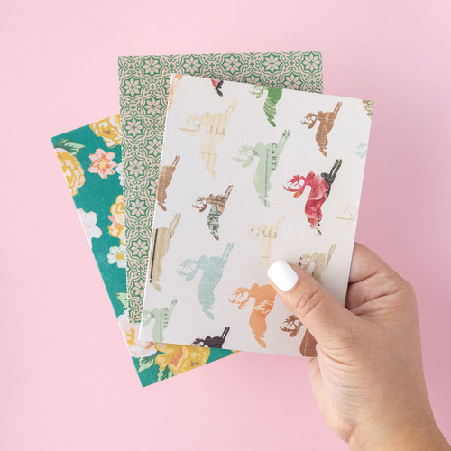 American Crafts A2 Cards W/Envelopes (4.375"X5.75") 40/Box-Maggie Holmes Open Book - 347052