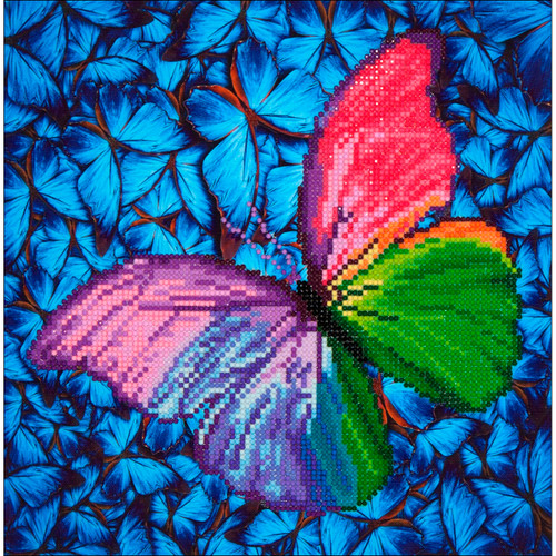 Diamond Dotz Diamond Art Kit 12"X12"-Flutter By Pink - DD5015