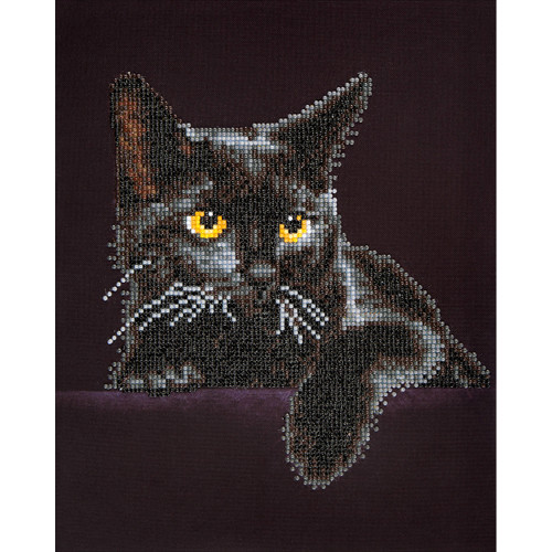 Diamond Dotz Diamond Art Kit 13.75"X17"-Midnight Cat - DD5001
