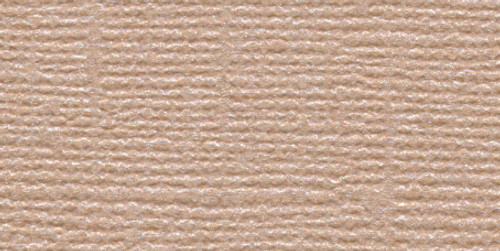 25 Pack - Bazzill Bling Cardstock 12"X12"-Blank Check - BLING12-2117 - 846523021173