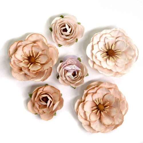 Prima Paper Flowers 6/Pkg-Pumpkin Dust, Bewitched - 5A003722-1H829