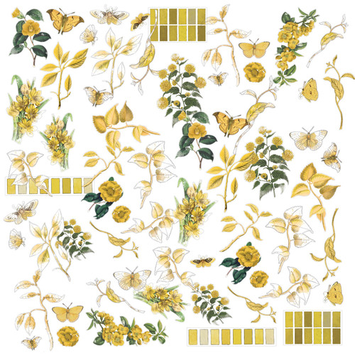 2 Pack - Color Swatch: Ochre Acetate Assortment-64/Pkg - OCS26863