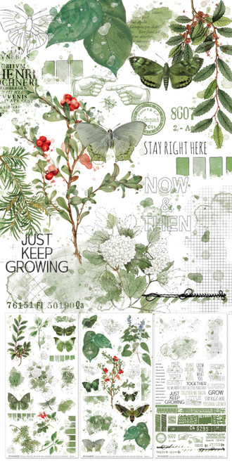 Color Swatch: Willow Rub-On Transfer Set-Color Swatch: Willow - 5A0021HW-1G4F2