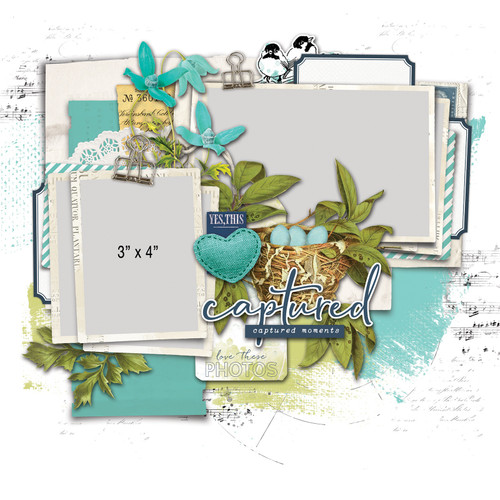 49 And Market Page Kit-Birdsong - 5A002C1J-1GFK6 49 And Market Page Kit-Birdsong - 5A002C1J-1GFK6