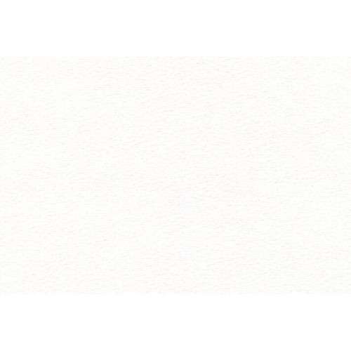 10 Pack - Canson XL Watercolor Sheet Cold Press 22"X30"-140lb - 5A002ZW6-1H1D8 - 3148950069320