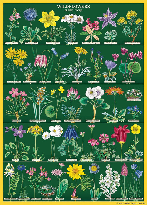 Cavallini Gift Wrap-Wildflowers 2 - 5A0035PR-1H711 - 9781639475414