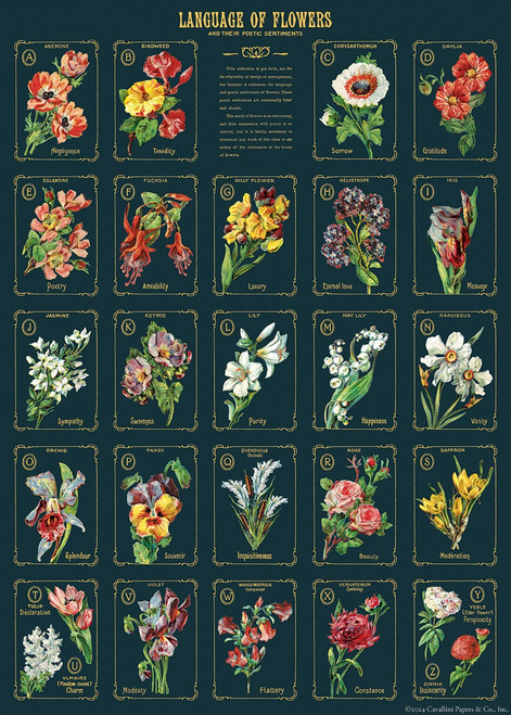 Cavallini Gift Wrap-Language of Flowers 2 - 5A0035PR-1H713 - 9781639475339