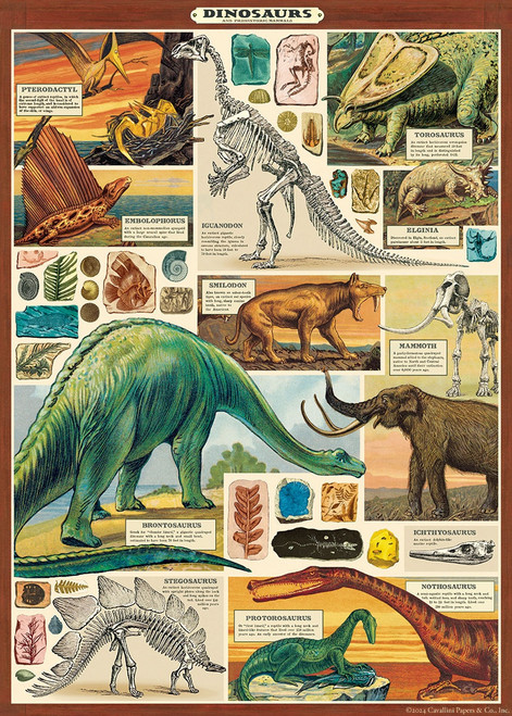Cavallini Gift Wrap-Dinosaurs 2 - 5A0035PR-1H712 - 9781639475322