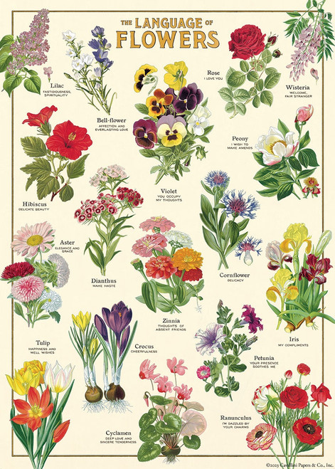 Cavallini Gift Wrap-Language of Flowers - 5A0035PR-1H71D - 9781639473878