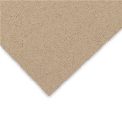 25 Pack - Strathmore 400 Series Toned Tan Sketch Sheet 19"X24"-Single Sheet - 5A00305Y-1H1PF - 112017413190