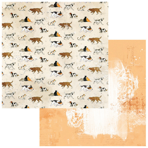 20 Pack - Toddler Time Double-Sided Cardstock 12"X12"-Cats And Dogs - 5A002J33-1GKPP - 786724930037 20 Pack - Toddler Time Double-Sided Cardstock 12"X12"-Cats And Dogs - 5A002J33-1GKPP - 786724930037
