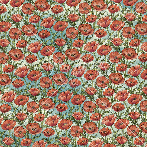 15 Pack - Graphic 45 Wonder Of OZ Double-Sided Cardstock 12"X12"-Field Of Poppies - 5A003DCN-1H9MR