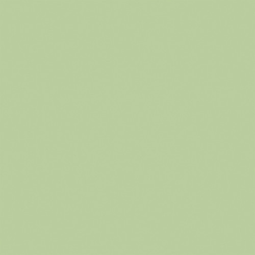 25 Pack - Echo Park Party Animal Double-Sided Cardstock 12"X12"-Green & Orange - 5A003D47-1H9DC