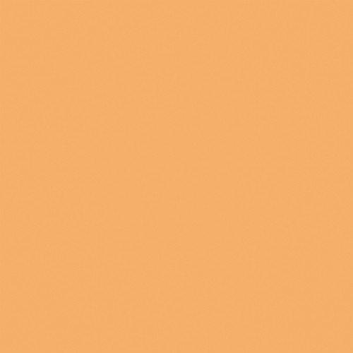 25 Pack - Echo Park Party Animal Double-Sided Cardstock 12"X12"-Green & Orange - 5A003D47-1H9DC