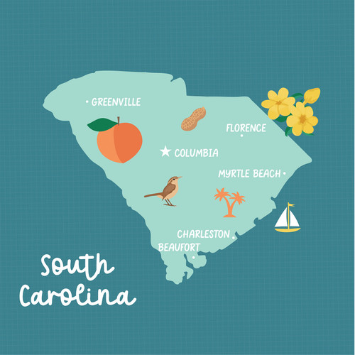 25 Pack - Echo Park Our United States Cardstock 12"X12"-South Carolina - 5A003HYV-1HD87