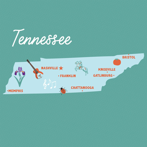 25 Pack - Echo Park Our United States Cardstock 12"X12"-Tennessee - 5A003HYV-1HD57