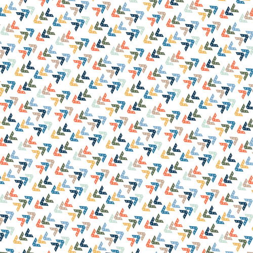 25 Pack - Echo Park My Favorite Monster Cardstock 12"X12"-6x4 Journaling Cards - 5A003J32-1HD7Z