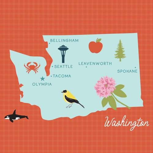 25 Pack - Echo Park Our United States Cardstock 12"X12"-Washington - 5A003HYV-1HD4T