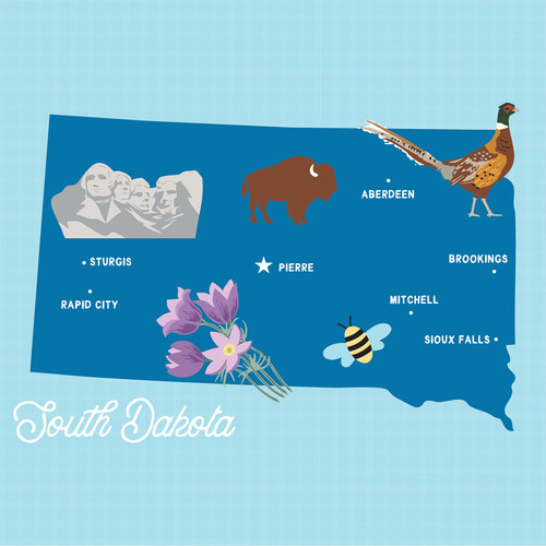 25 Pack - Echo Park Our United States Cardstock 12"X12"-South Dakota - 5A003HYV-1HD5P