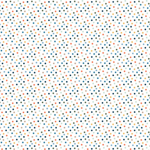 25 Pack - Echo Park My Favorite Monster Cardstock 12"X12"-4x4 Journaling Cards - 5A003J32-1HD5W