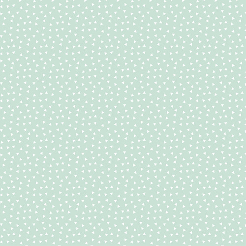 25 Pack - Echo Park My Favorite Monster Cardstock 12"X12"-Stomping Around Feet - 5A003J32-1HD5T