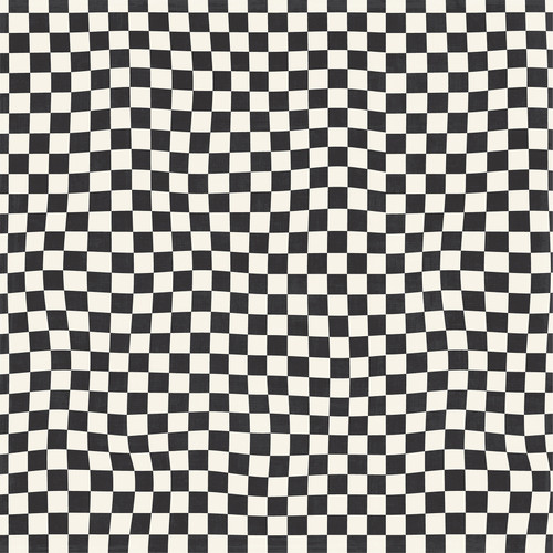 25 Pack - Echo Park Mouse and Me Cardstock 12"X12"-6x4 Journaling Cards - 5A003HS2-1HCV5